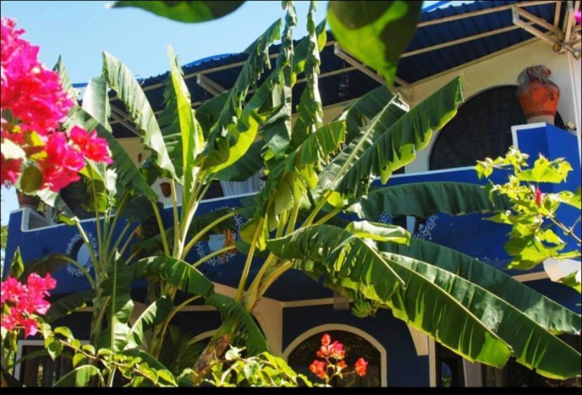 Casa Maiana Apartment Samara Ngoại thất bức ảnh