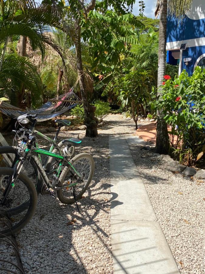 Casa Maiana Apartment Samara Ngoại thất bức ảnh